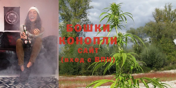 каннабис Корсаков